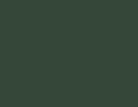 Aussenfarbe colibrigrün metallic